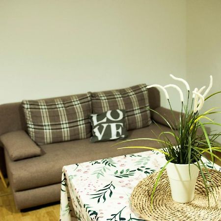 Apartman Flower 希贝尼克 外观 照片