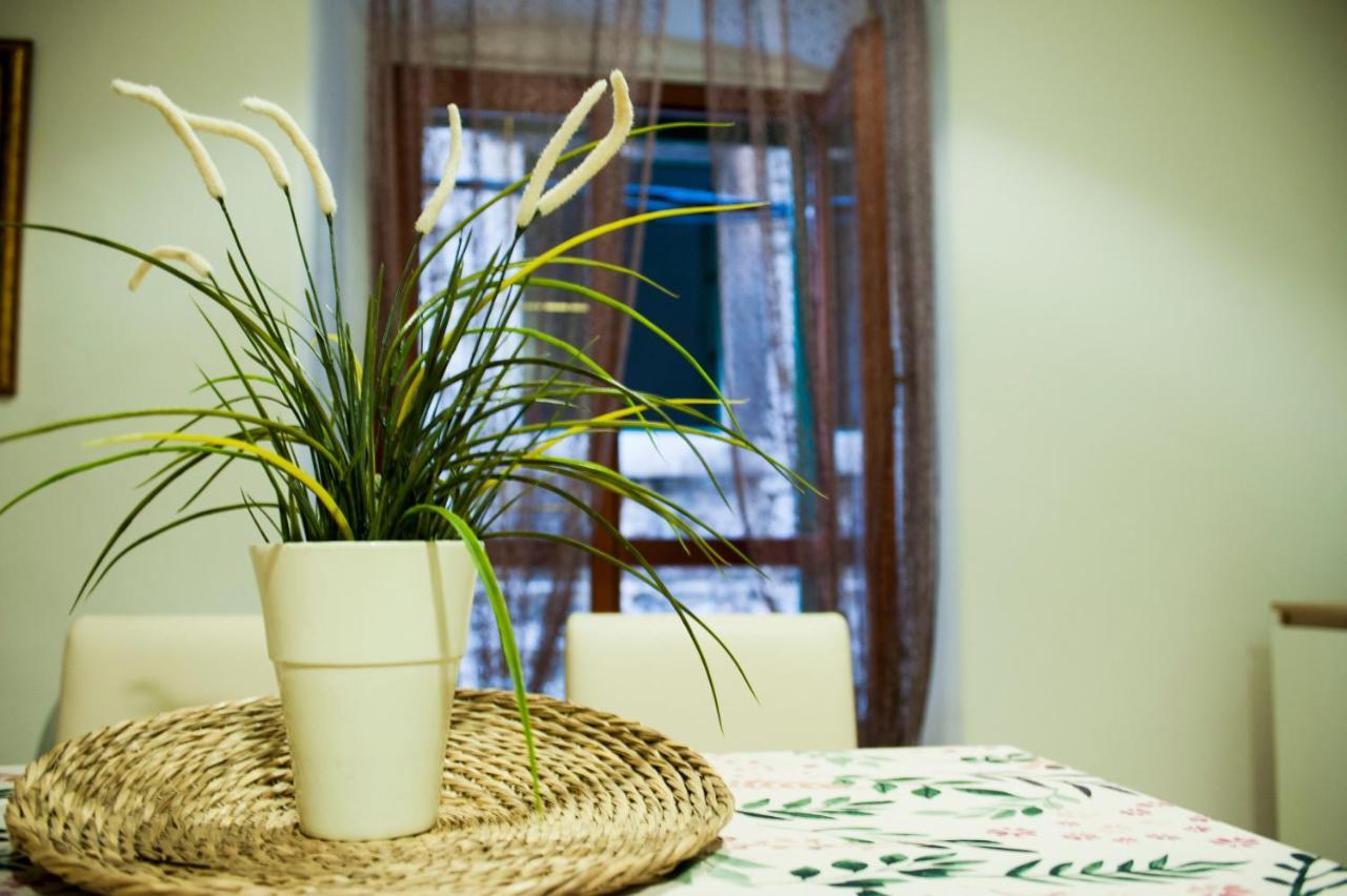 Apartman Flower 希贝尼克 外观 照片