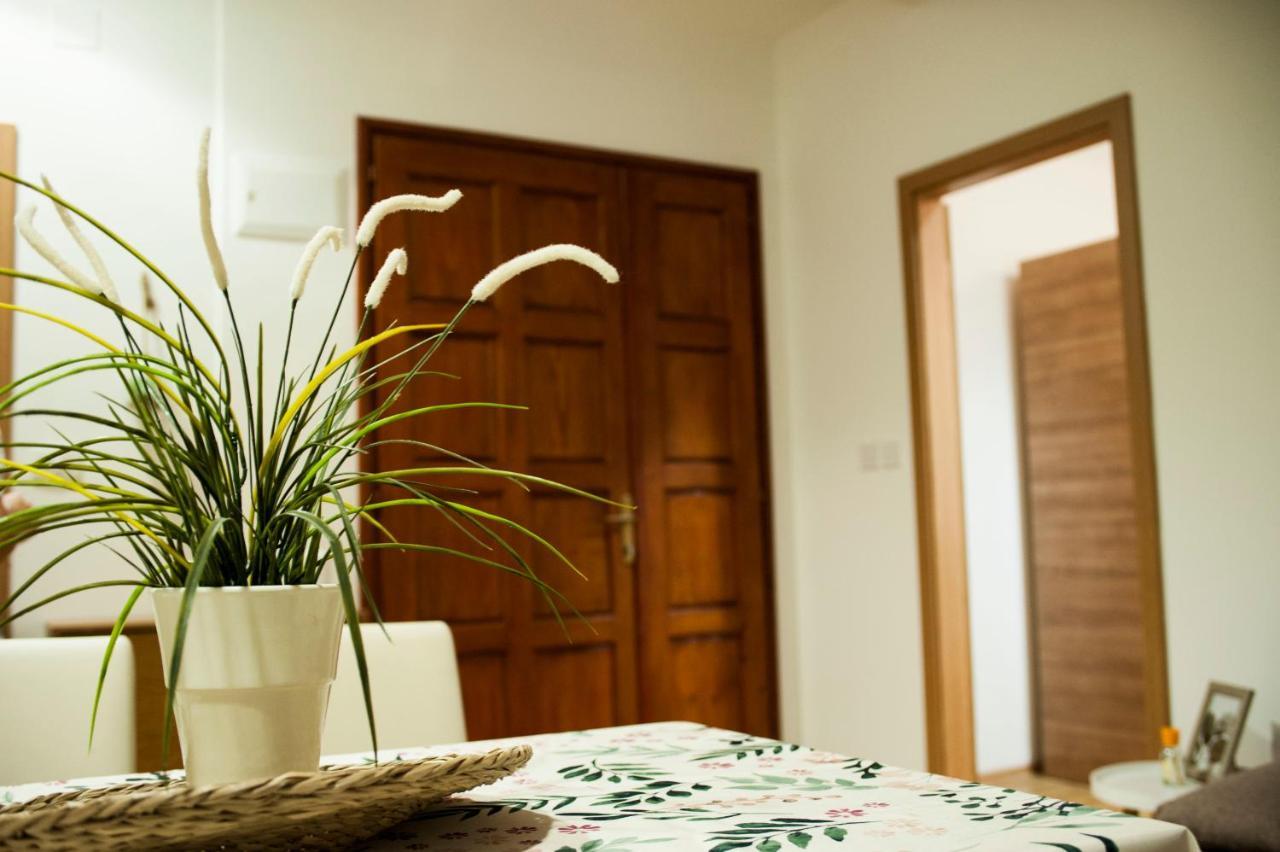 Apartman Flower 希贝尼克 外观 照片